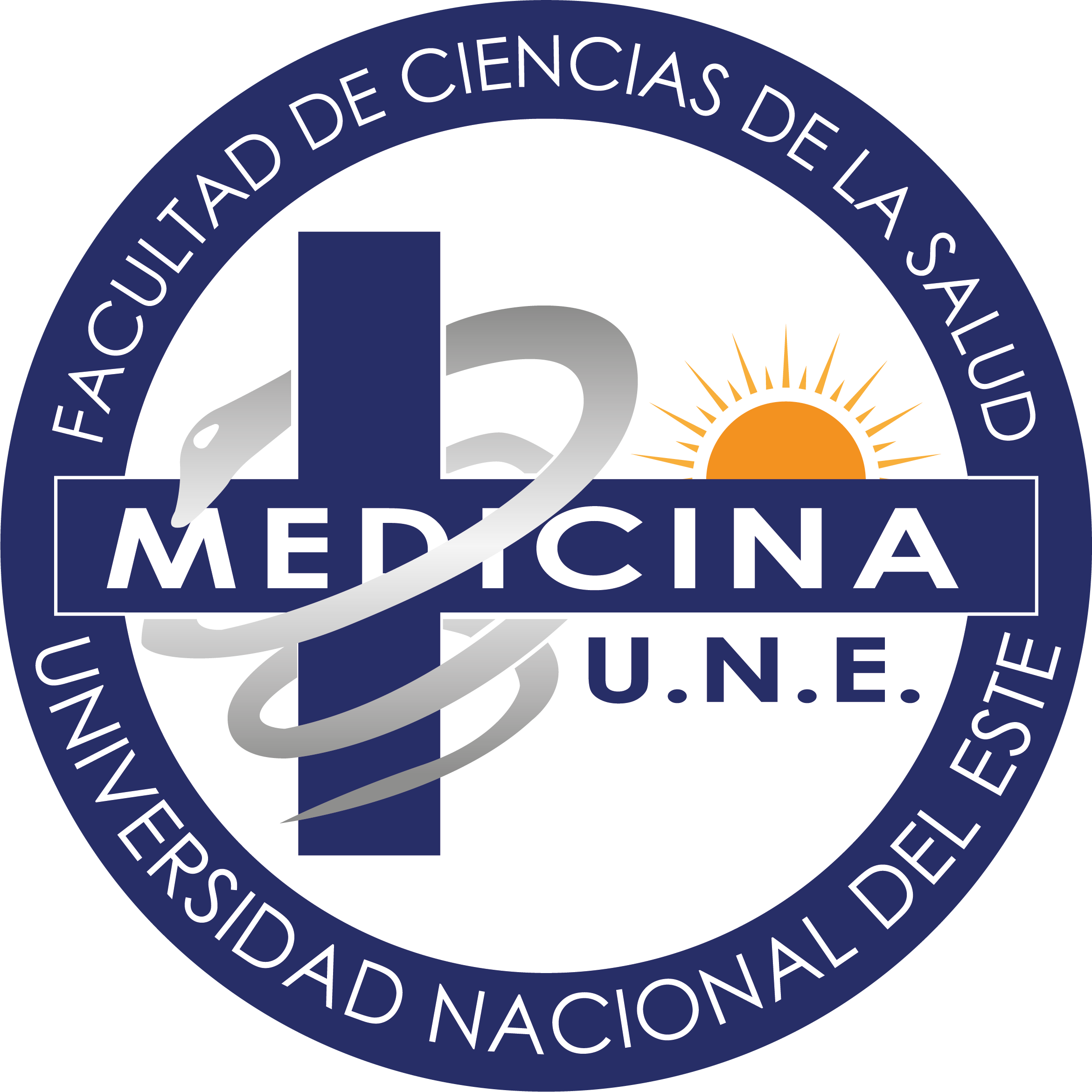 Logo Medicina plateado